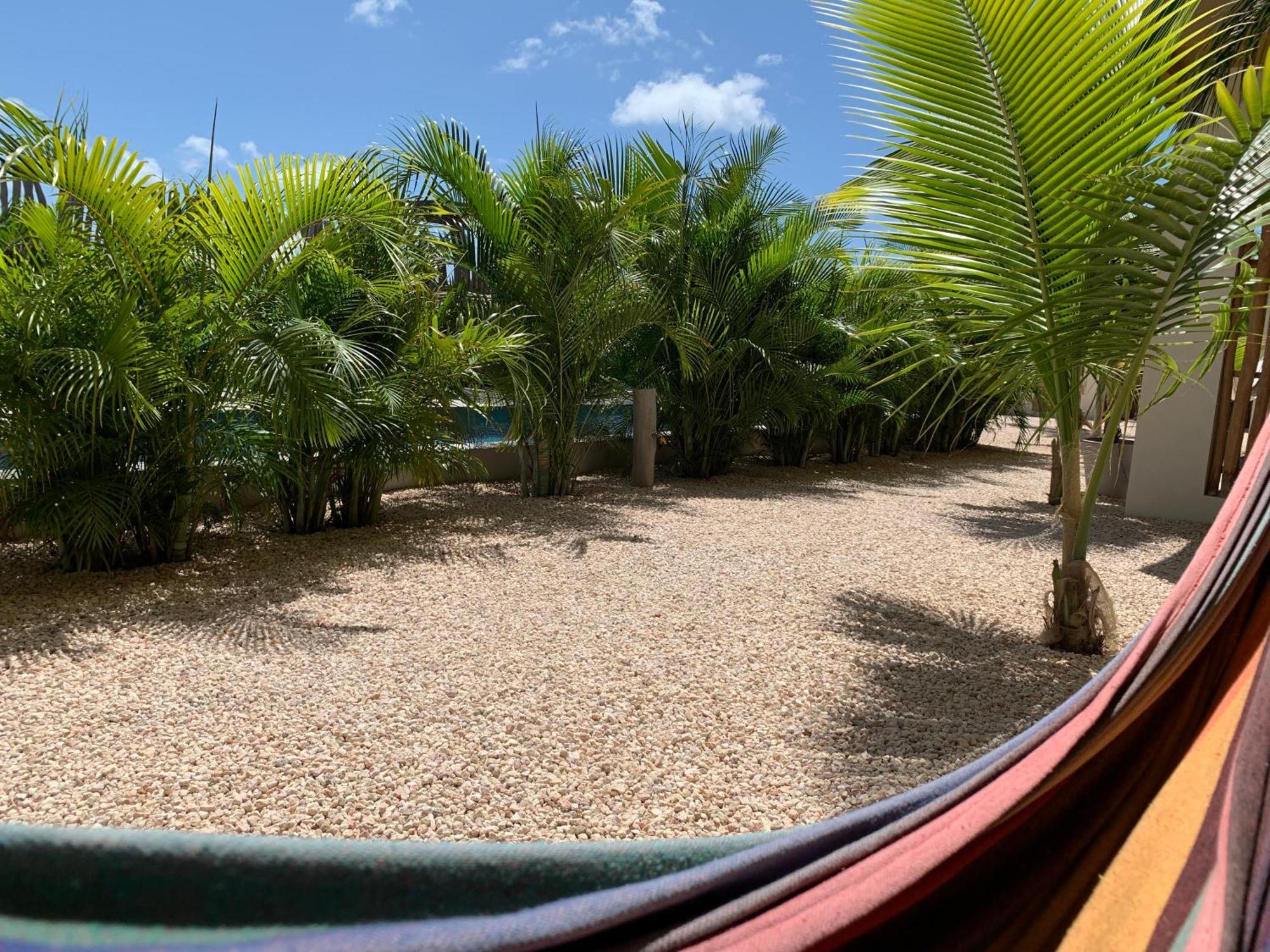 Isla Penthouse & Garden Apartments Bonaire Playa Dış mekan fotoğraf