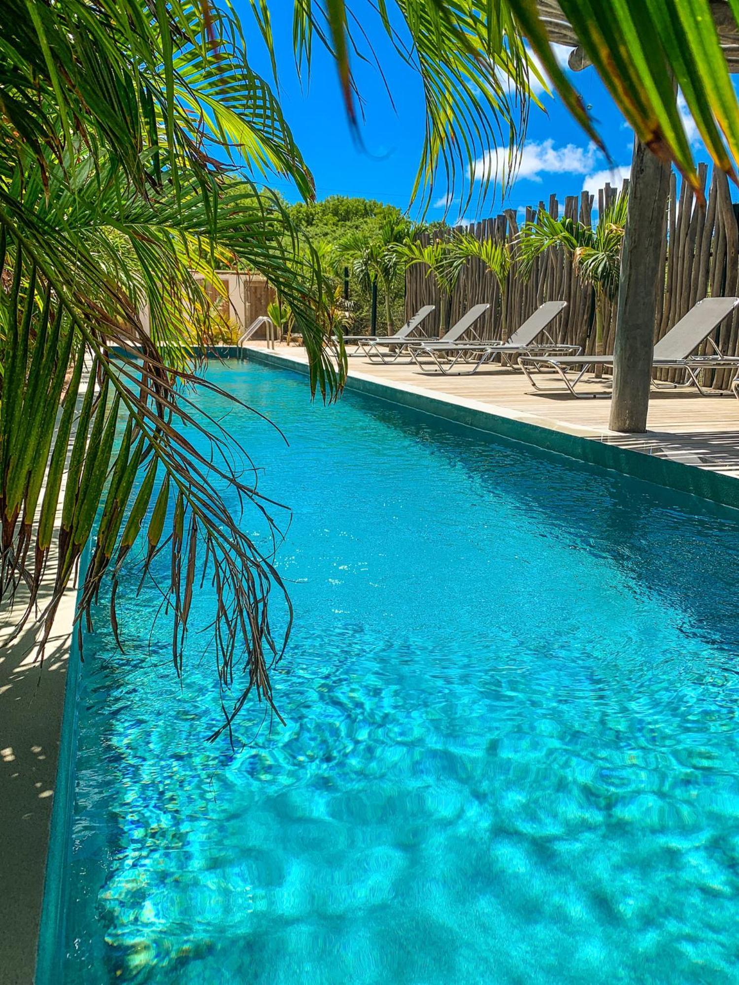 Isla Penthouse & Garden Apartments Bonaire Playa Dış mekan fotoğraf